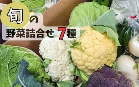 [数量限定]採れたて野菜詰合せ(7種) 鹿児島 国産 野菜 旬 新鮮 産地直送 何が届くかお楽しみ ランダム [農事組合法人 福田農園]