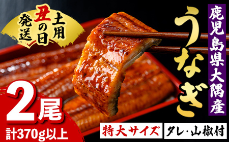 【A57003】土用の丑の日 特大うなぎ 蒲焼 有頭 (2尾 計370g以上 タレ・山椒付) 鹿児島 国産 大隅産 鰻 蒲焼き【一般社団法人きもつき宇宙協議会】