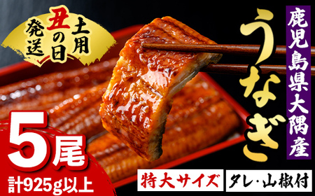 【C57004】土用の丑の日 特大うなぎ 蒲焼 有頭 (5尾 計925g以上 タレ・山椒付) 国産 大隅産 鰻 蒲焼き【一般社団法人きもつき宇宙協議会】