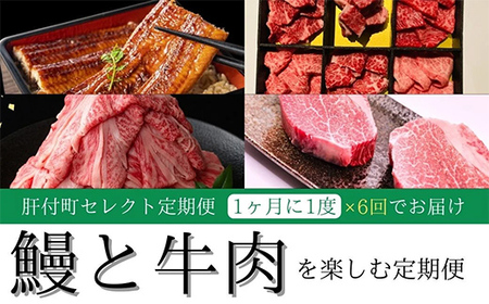 [定期便・全6回]肝付町セレクト定期便[鰻と牛肉を楽しむ] 鹿児島 牛肉 黒毛和牛 鰻 うなぎ ウナギ 焼肉 焼き肉 しゃぶしゃぶ ステーキ ヒレ フィレ セレクト 冷凍 冷凍食品 [株式会社きもつき未来商社そらまち]