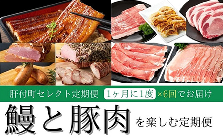 [定期便・全6回]肝付町セレクト定期便[鰻と豚肉を楽しむ] 鹿児島 豚肉 鹿児島県産 黒豚 鰻 うなぎ ウナギ とんかつ しゃぶしゃぶ ハム ウィンナー セレクト 冷凍 冷凍食品 [株式会社きもつき未来商社そらまち]