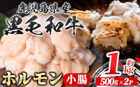 鹿児島県産黒毛和牛 ホルモン 小腸 (計約1kg・約500g×2P) 鹿児島 国産 九州産 黒毛和牛 牛肉 ホルモン 牛ホルモン 生ホルモン モツ 小腸 真空パック 個包装 小分け 冷凍 焼肉 もつ鍋 煮込み[新村畜産]