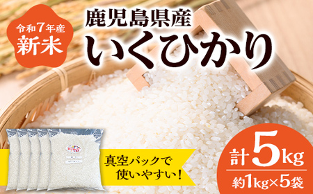 yA55021zߘa7NY V Ђ ^pbNl (v5kgE1kg×5) Y   ^ ^pbN CNqJ Ɛ   ͂   R  yӂ[ށz