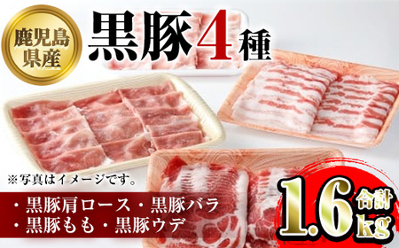 yB06004zY4([XEoEEEf)(v1.6kg)   ؓ |[N [X o  Ef oGeB Zbg lߍ킹 Ԃ Ă IĂ M