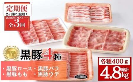 yE06004zցES3 2026N1u͂ Y4([XEoEEEf)(v4.8kg)  ؓ |[N [X o  Ef oGeB Zbg lߍ킹 