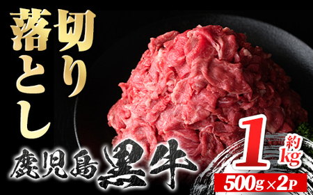 yA01040z ؂藎Ƃ (v1kgE500g×2P)  Y BY Y јa Y  ؂藎 ؗƂ ؗ  Ⓚ  ₫ Ă   J[
