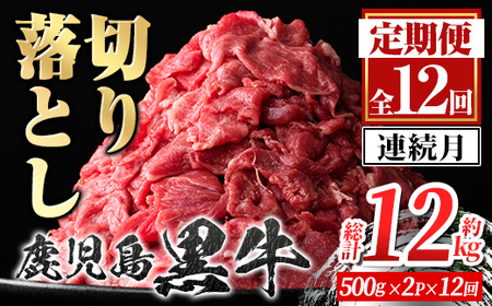 yF01001zցES12EA ؂藎Ƃ(v12kgE500g×2P×12)  Y BY Y јa Y  ؂藎 ؗƂ ؗ  Ⓚ  