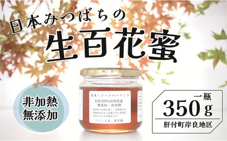 【A96001】日本ミツバチ 生百花 蜂蜜(約350g) 鹿児島 国産 九州産 蜂蜜 ハチミツ はちみつ 生はちみつ 日本ミツバチ ハニー 天然100％ 非加熱 無添加 蜜 日本ミツバチ 生はちみつ 生蜂蜜 トースト ハニートースト ヨーグルト【ハニー工房　蜜乃蔵】