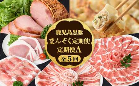 [定期便・全5回]かごしま黒豚まんぞく定期便A (月1回×5ヶ月) 鹿児島 九州産 国産 肉 豚肉 黒豚 焼豚 肩ロース ロース モモ スライス 叉焼 餃子 ギョーザ ぎょうざ しゃぶしゃぶ とんかつ 加工品 セット [和田養豚]