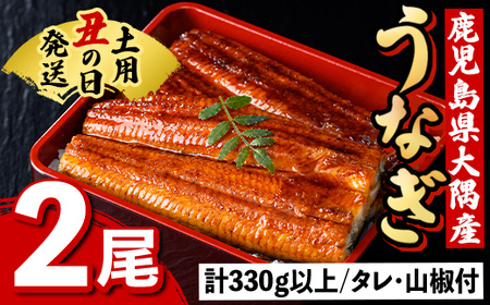 土用の丑の日 うなぎ 蒲焼 有頭 (2尾 計370g以上 タレ・山椒付) 鹿児島 国産 大隅産 鰻 蒲焼き[一般社団法人きもつき宇宙協議会]