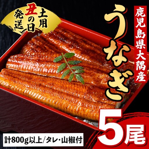 【C57007】土用の丑の日 うなぎ 蒲焼 有頭 (5尾 計800g以上 タレ・山椒付) 鹿児島 国産 大隅産 鰻 蒲焼き【一般社団法人きもつき宇宙協議会】