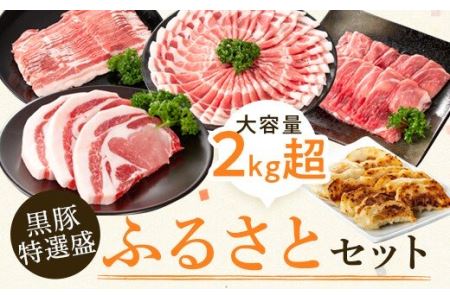 【B02043】黒豚特盛ふるさとセット＜約2.3kg＞