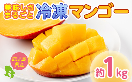 鹿児島県産　美味しさまるごと冷凍マンゴー！約1kg