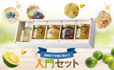 [世界でここだけ果実]調味料で手軽に味わう入門セット!GI(地理的表示)登録産品!ストレート果汁 手作り味噌 バタークリーム マーマレード 詰め合わせ 調味料 だいだい 橙 鹿児島 国産 柑橘 ギフト 贈答[NPO法人 陸の宝島・岸良]