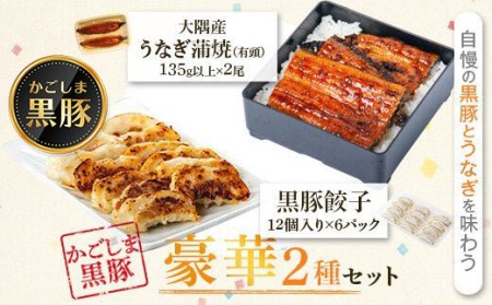 【B02052】鹿児島県大隅産　うなぎ２尾・黒豚餃子セット