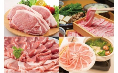 鹿児島県産豚厚切りステーキ&豚4部位食べ比べわいわいセット[約4.4kg]