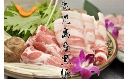 yA06016zYɏ㍕،I(1.5kg)   ؓ |[N [X [X o oGeB Zbg lߍ킹 Ԃ ē IĂ Mtg yYƊЁz