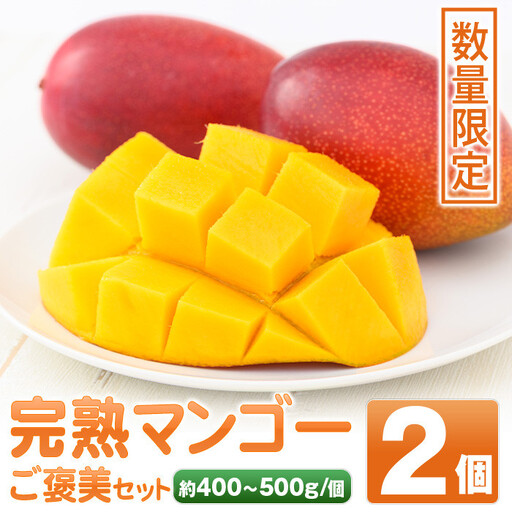 肝付町産 完熟マンゴー ご褒美セット 約400~500g×2個[SHOWAマンゴー農園]