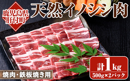 【A59003】＜2024年10月以降発送予定＞天然イノシシ肉！焼肉・鉄板焼き用(500g×2P・計1kg) 鹿児島 国産 猪肉 いのしし肉 ジビエ ジビエ肉 ぼたん 牡丹 お取り寄せ ギフト 贈答【きらく】