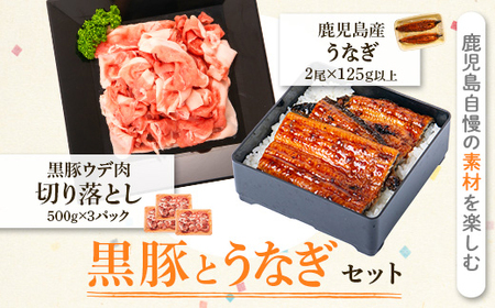 鹿児島黒豚ウデ肉切り落とし(計1.5kg・500g×3P)・うなぎ2尾セット 鹿児島 国産 九州産 黒豚 豚肉 お肉 鰻 うなぎ ウナギ うな重 うな丼 ギフト[和田養豚]