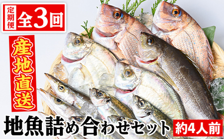 [3回定期便]魚屋さんの選んだ新鮮お魚詰め合わせ(約4人分) 鹿児島 国産 九州産 産直 産地直送 鮮魚 新鮮 魚 海産物 お刺身 煮つけ 焼き魚[マルケイ水産]