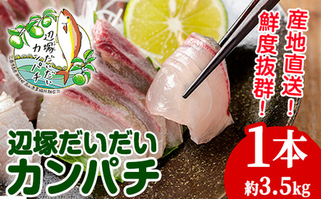 【B08002】産地直送！辺塚だいだいカンパチ(約3.5kg・1本) 鹿児島 国産 九州産 産地直送 カンパチ 勘八 魚 魚介 鮮魚 おかず 海産物【高山漁業協同組合】