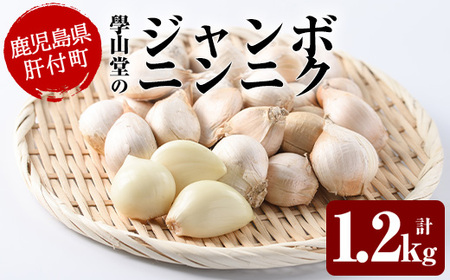 [先行予約受付中!2026年6月中旬以降準備が整い次第順次発送]學山堂のジャンボにんにく(計1.2kg) 栽培期間中農薬不使用! 鹿児島 国産 大蒜 ニンニク ガーリック 粒が大きい 野菜 薬味 国産[ニンニクの學山堂]
