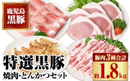 特選黒豚焼肉とんかつセット(計約1.8kg) 黒豚バラ(焼肉用)、黒豚ロース(トンカツ用)、モモスライス、餃子のセット! 鹿児島 国産 九州産 豚肉 お肉 バラ ロース モモ スライス 餃子 ぎょうざ 焼肉 しゃぶしゃぶ[和田養豚]