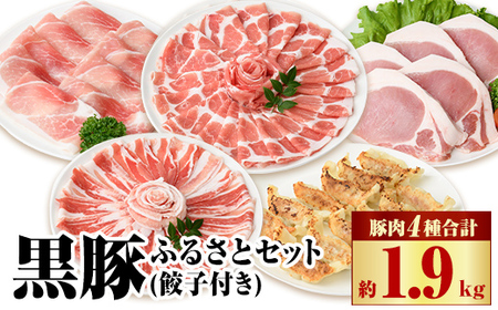 yB02080z؂ӂ邳ƃZbg(v1.9kg)Lq(12)tI  Y BY  ؓ  o [X [X  XCX Lq 傤 ē Ԃ ₫ 