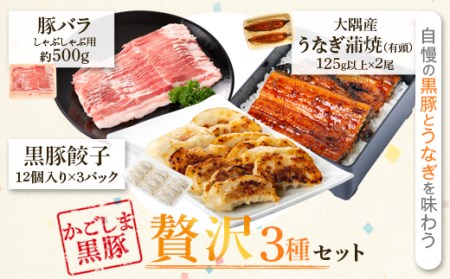 鰻と餃子の返礼品 検索結果 | ふるさと納税サイト「ふるなび」