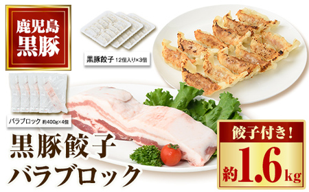 鹿児島県産黒豚バラブロック(計約1.6kg・約400g×4P)、黒豚餃子(12個入×3P)セット! 鹿児島 国産 九州産 黒豚 豚肉 お肉 バラ ブロック 餃子 ぎょうざ 角煮 焼肉 叉焼 焼豚 チャーシュー おかず 惣菜[和田養豚]