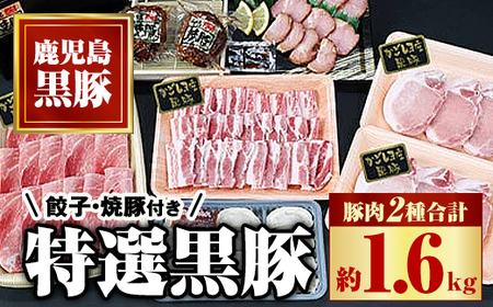 特選黒豚(計約1.6kg) 黒豚焼豚(約200g×2個) 餃子(12個入×1P) 鹿児島 国産 九州産 豚肉 お肉 バラ肉 ロース トンカツ 焼豚 叉焼 チャーシュー 餃子 ぎょうざ ギョーザ おかず 惣菜 ギフト 贈答[和田養豚]