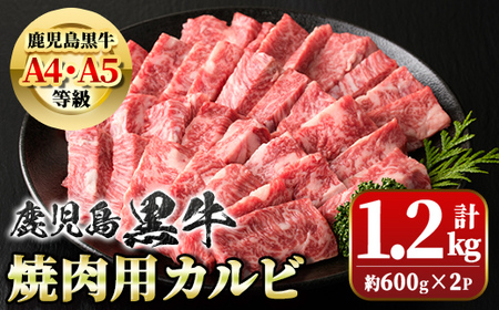 [A4・A5等級]鹿児島黒牛カルビ焼肉用(計約1.2kg・約600g×2) 牛肉専門店自慢のお肉 鹿児島 国産 九州産 牛肉 黒牛 A4 A5 等級 和牛日本一 お肉 カルビ 焼肉 BBQ バーベキュー ギフト 贈答[新村畜産]