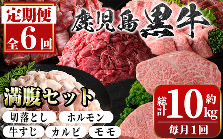 [定期便・全6回]鹿児島黒牛 満足定期便・満腹セット(全5種・合計10kg) 鹿児島黒牛 モモ 赤身 ホルモン 霜ぶり 霜降り ステーキ 牛すじ 切り落とし 切落し 焼肉 食べ比べ 日本一 国産 九州産 牛肉 ビーフ [新村畜産]