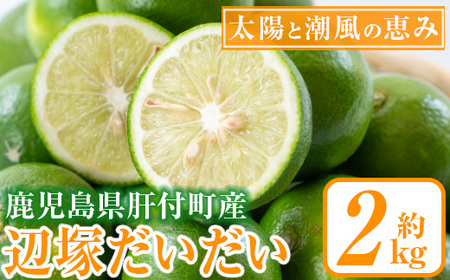 辺塚だいだい 青果 (2kg) 鹿児島 国産 橙 だいだい 柑橘 かんきつ 果物 フルーツ 贈答 ギフト[NPO法人 陸の宝島・岸良]