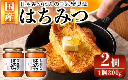 n351 ʌ聄썑qYI{݂΂݂̂͂(300g×2) qY Y Y n`~c I ꖨ SԖ r ~co`   َq ϕ  yЂ{I