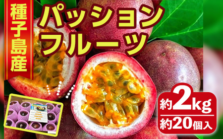 n358 [先行予約受付中!2025年6月頃より順次発送予定]南国・種子島産!パッションフルーツ(3kg) 国産 鹿児島 果物 くだもの 果実 フルーツ 旬 トロピカルフルーツ 南国フルーツ 果実 果肉 ビタミン 常温 [なかたね農産]