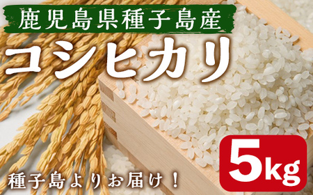 n359 [先行予約受付中!2025年7月中旬頃より順次発送予定]種子島のお米!コシヒカリ(5kg) 国産 鹿児島県産 種子島 コシヒカリ こしひかり 米 お米 おこめ 白米 [なかたね農産]