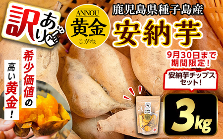 n387 [期間・数量限定セット!先行予約受付中!2025年9月下旬頃から12月中の発送予定][訳あり]種子島産 安納芋[黄金](3kg)&安納芋チップス1袋セット 国産 黄金 こがね コガネ 種子島 さつま芋 安納いも 野菜 いも さつまいも 芋 イモ [うずえ屋]