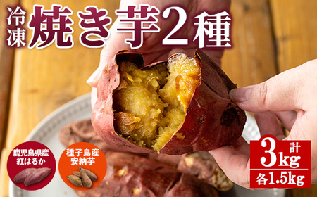 n418 [期間限定!]「鹿児島県産紅はるか」と「種子島産安納芋」冷凍焼き芋のセット(計3kg) 国産 さつまいも さつま芋 安納芋 安納いも サツマイモ べにはるか おやつ スイーツ [ファーム工房]