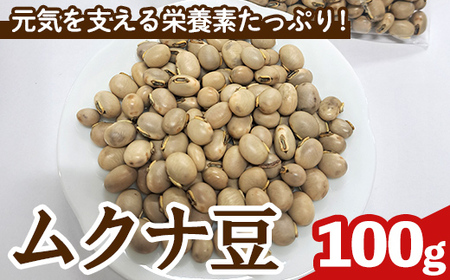 n427 ムクナ豆 100g 八升豆 ハッショウ豆 【永濱農園】