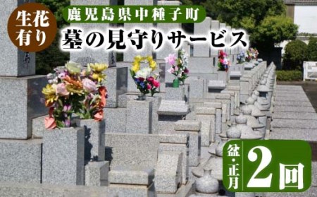 n129 [生花有り]お墓の見守りサービス(2回、盆・正月) サービス 清掃 除草 管理 墓地[中種子町シルバー人材センター]