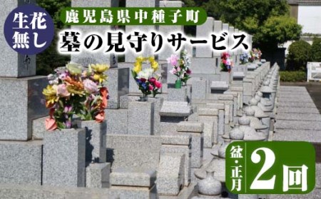 n130 [生花無し]お墓の見守りサービス(2回、盆・正月) サービス 清掃 除草 管理 墓地[中種子町シルバー人材センター]