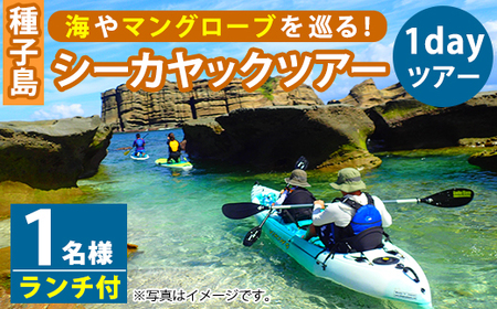 n117 シーカヤック1dayツアー(1名様分、7時間、ランチ付き)種子島 島 カヤック ツアー 観光 海 レジャー[Lulusun]