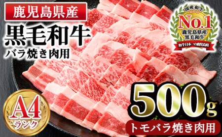 n165 [A4ランク]鹿児島県産黒毛和牛バラ焼肉用(500g)国産 九州産 牛肉 黒毛和牛 和牛 ばら 肉 BBQ バーベキュー おかず 冷凍[株式会社Meat you]