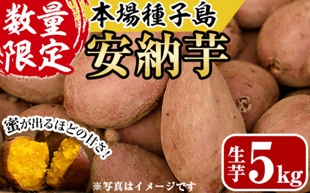 n078 [先行予約受付中!2025年10月下旬頃より順次発送予定]種子島産 安納芋(5kg) 国産 中種子町 芋 さつま芋 生芋 デザート おやつ 焼芋 やきいも 焼き芋 野菜 [あぐりの里]