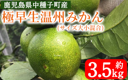 n132 [数量限定][先行予約受付中!2025年9月上旬〜10月下旬頃に順次発送予定]鹿児島県種子島産!極早生温州みかん(約3.5kg) 国産 蜜柑 ミカン 柑橘 サイズ大小混合 果物 フルーツ くだもの 旬 [提果樹園]