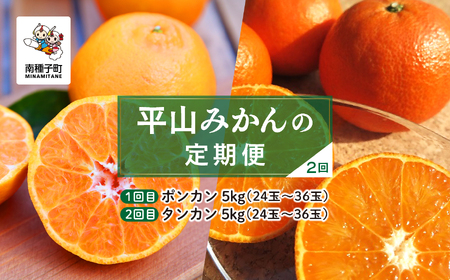 [定期便][先行予約] 種子島 平山みかん 定期便 全2回 ポンカン タンカン 人気 種子島産 返礼品 南種子町 鹿児島 かごしま [のっちーよ種子島]