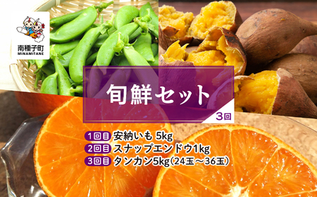 [先行予約][定期便] 種子島 旬鮮セット 全3回 安納いも スナップエンドウ タンカン 人気 種子島産 返礼品 南種子町 鹿児島 かごしま [のっちーよ種子島]