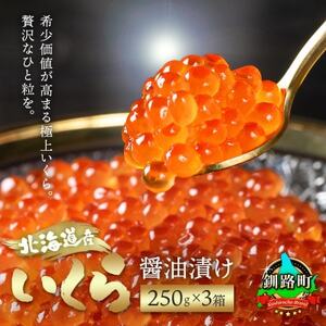 いくら醤油漬け 250g ×3個セット [北海道産の鮭卵]_魚介・海産物 いくら イクラ_[配送不可地域:離島]